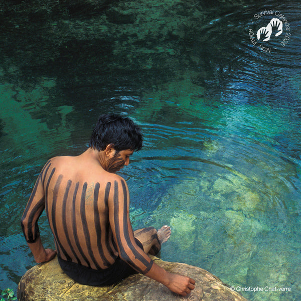 NEW: "We, the people" 2026 calendar