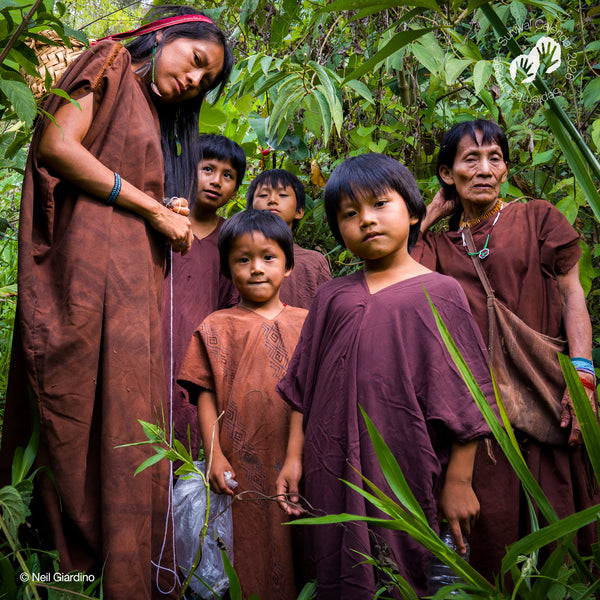 NEW: "We, the people" 2026 calendar