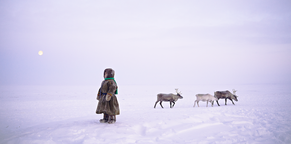 The lunar compass cards