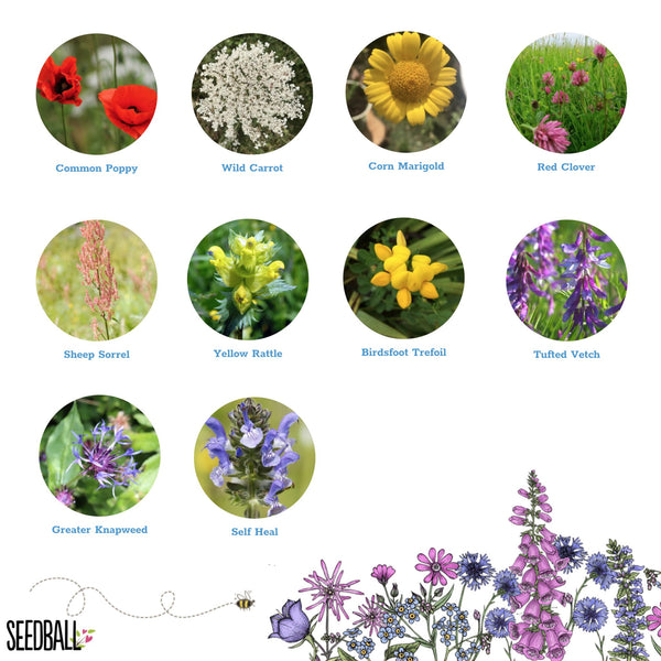 NEW: Wildlife flower mix seed bag - 100 balls | 3000 seeds