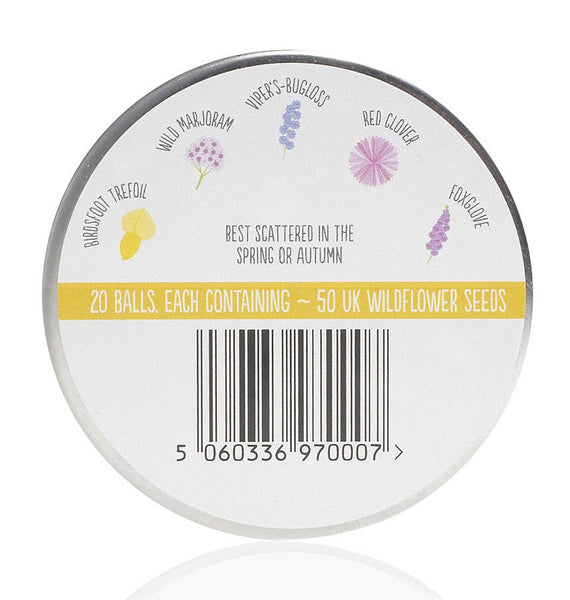 NEW: Bee Merry Seedball Christmas Festive Tin