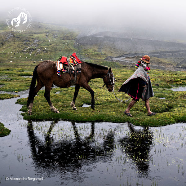 NEW: "We, the people" 2026 calendar