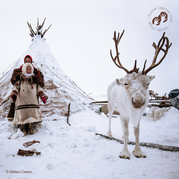 NEW: "We, the people" 2026 calendar