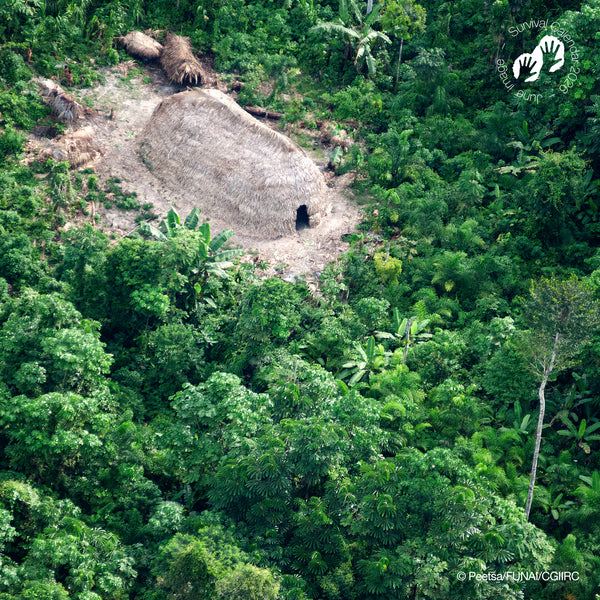 NEW: "We, the people" 2026 calendar