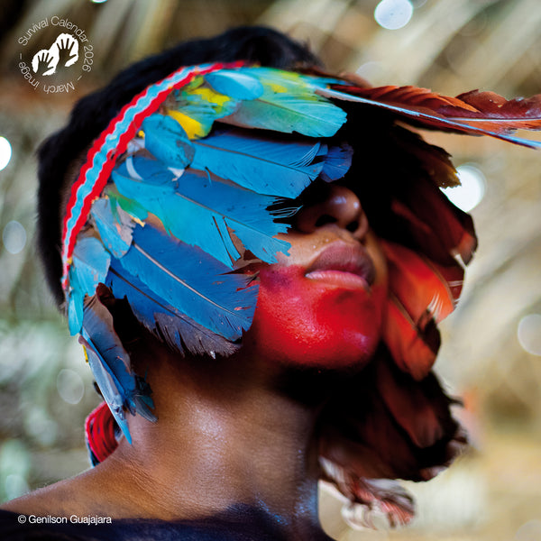 NEW: "We, the people" 2026 calendar