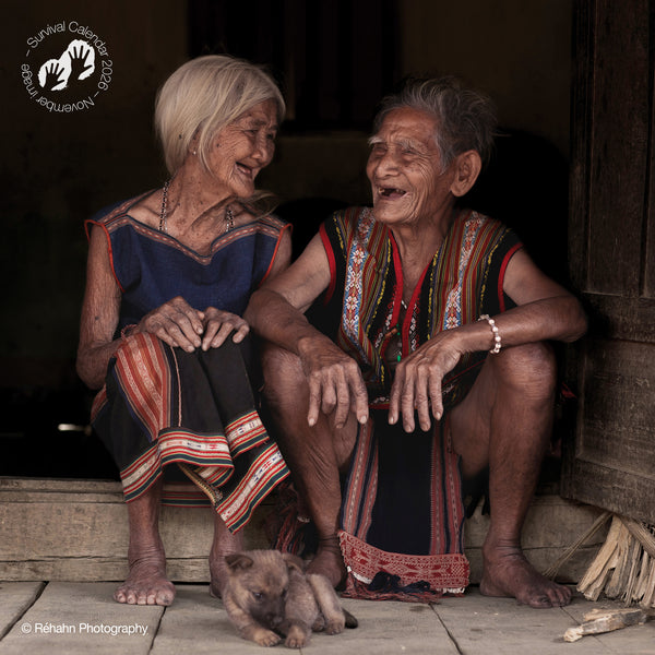 NEW: "We, the people" 2026 calendar