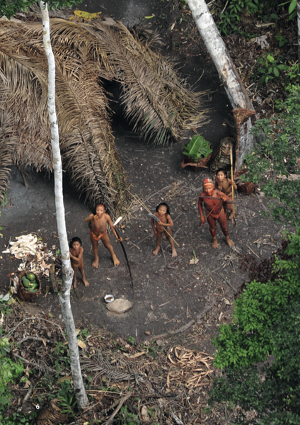 Aerial view of a group of people in a forested area with a thatched structure.