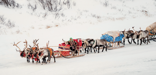 NEW: Winterpath cards
