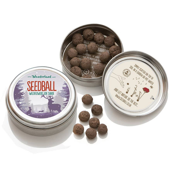 NEW: Wonderland Seedball Christmas Festive Tin