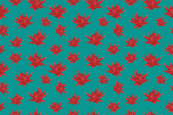 Festive flower gift wrap - green