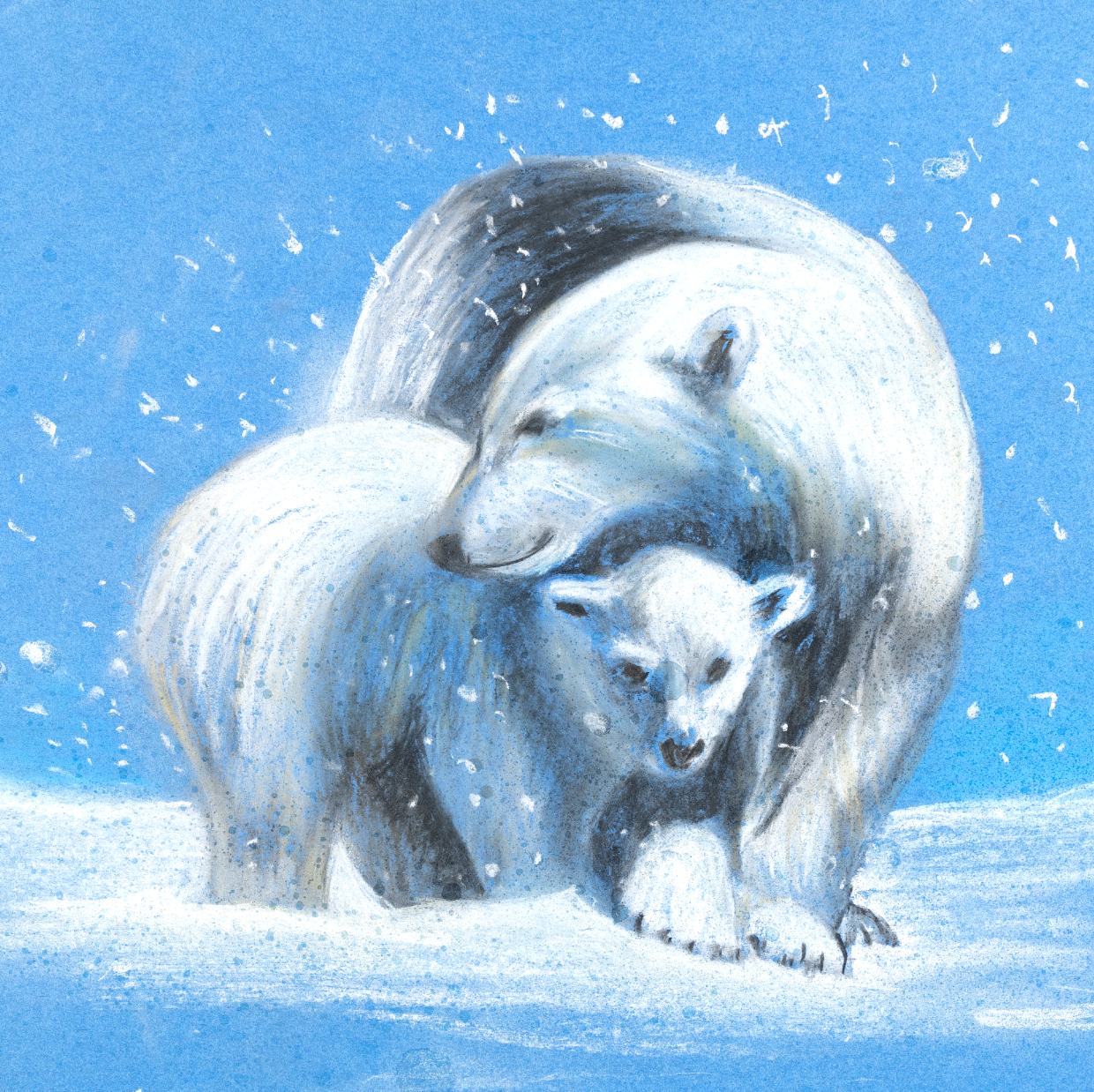 Polar bears cards