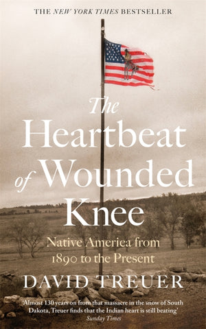 NEW: The Heartbeat of Wounded Knee book